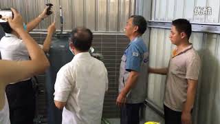 Testing syngas gasifier system