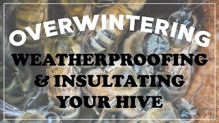Weatherproofing & Insulating Your Hive