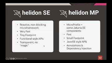 Developing java based microservices applications with Helidon 2.0 by Takashi Ito