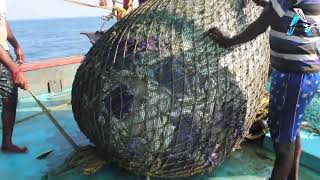 Wow Big Net Fishing Commercial Fishing Boat