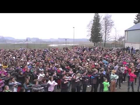 Flashmob  2013 ( Saint Benoit )