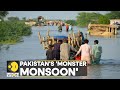 Flash floods put 1/3 of Pakistan under water, deluge affects 33 million people| WION Climate Tracker