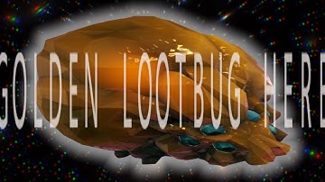 ＧＯＬＤＥＮ　ＬＯＯＴＢＵＧ　ＨＥＲＥ