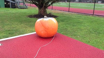 Pumpkin Slow Motion explosion