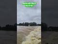 Full video 👆 #shivnathnadimebadh #durgshivnathnadi #shivnathriver #badh2025 #shortvideo #shortvideo