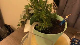 Minor Project Eecs1011 Img 2864