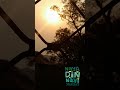 🌸my  first mini  vlog🌳🌴 #matheran @Nafs76 #ytshorts