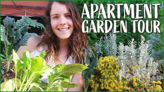 APARTMENT GARDEN TOUR 2.0 ✨ (my jungle balcony!)