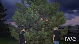 100 gecs music (money machine x penis music)