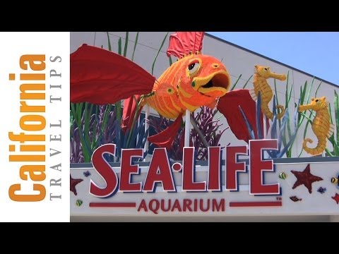 Sea Life Aquarium