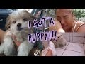 I GOT A PUPPY!!! + PUPPY SUPPLY SHOPPING!!!