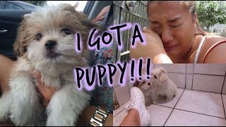 I GOT A PUPPY!!! + PUPPY SUPPLY SHOPPING!!!