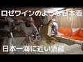 【京都】ロゼワインのような日本酒!?開発した女性杜氏、日本一海に近い酒蔵、京都・伊根の向井酒造