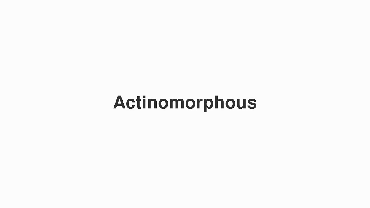 How to Pronounce "Actinomorphous"