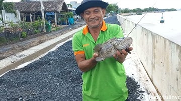 Câu sông lên 1 em cá bống mú quá phê lun