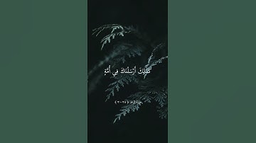 تلاوة جميلة بصوت الشيخ ماهر المعيقلي ارح سمعك #حالات_واتس