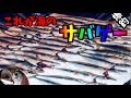 【瀬戸内を釣る】これが海のサバゲー！爆釣し過ぎて当分サバｗ 瀬戸内を制する者!(^^)!どやさ～
