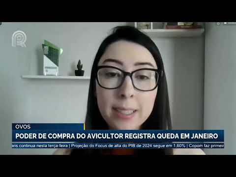 Ovos: poder de compra do avicultor registra queda em janeiro | Canal Rural