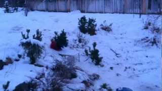 awesome sled jump