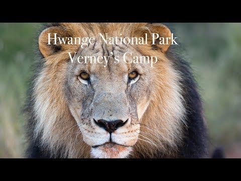 Luxury Lodges of Africa. Hwange National Park - Verney's Camp - Zimbabwe. Machaba Safaris