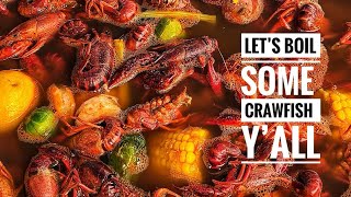 Let’s Boil Some Crawfish! 🦞