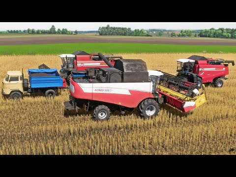 Видео: Farming Simulator 22 / Карта Szpakowo /#139 Уборка рапса Acros 595+, 2хПалессе GS12, IFA W50, МТЗ-50