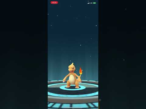 Evolve shiny Charmander