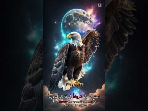 على الصقر لا تقرب ابعد يا غراب