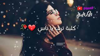 علي الدلفي واحمد الساعدي - بعد روحي - 🥀💜