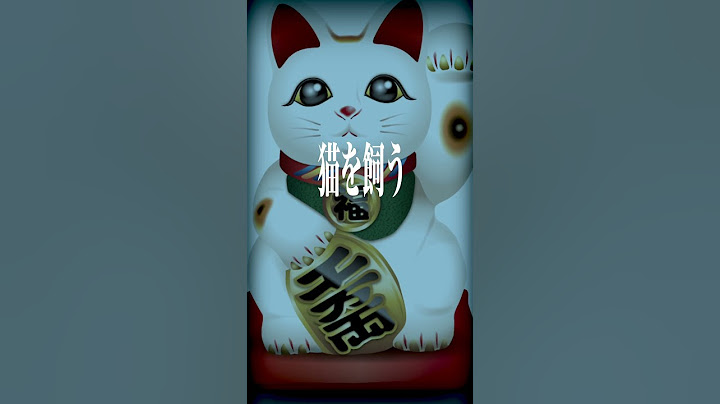 騙されるな…捨て猫保護動画はヤラセです