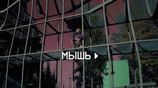 Мышь - Жвачка