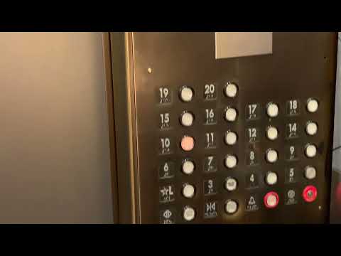 the awesome MOTIF SEATTLE on November 8, 2022