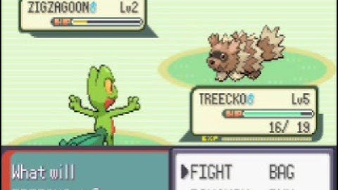 Emerald Walkthrough Part 1 - The Journey Begins