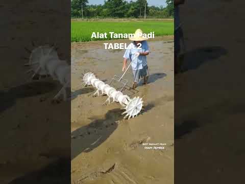 Video: Apa itu Penaburan Langsung: Pelajari Bagaimana Dan Kapan Menabur Benih di Luar Ruangan