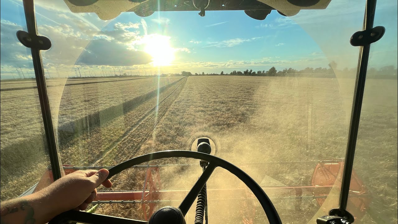 Őszi árpa aratás   ✅Claas Mega 204🌾+kisebb műszaki hiba hátráltatott.  #farming #claas #aratás