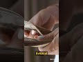 1  Vive por debajo de tus posibilidades