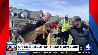 Officers rescue puppy from storm drain Guide