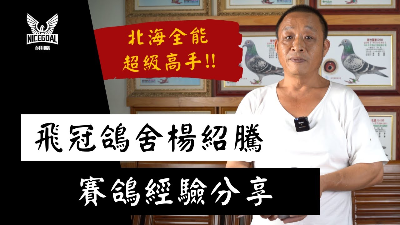 【強豪分享】北海全能，超級高手，飛冠鴿舍楊紹騰｜耐翔購