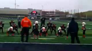 Windy city dolphins bowl game win vs falcons 2013