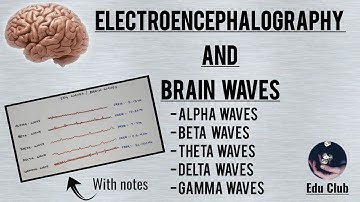 EEG and Brain waves