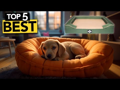 Top 5 Best Dog Bed