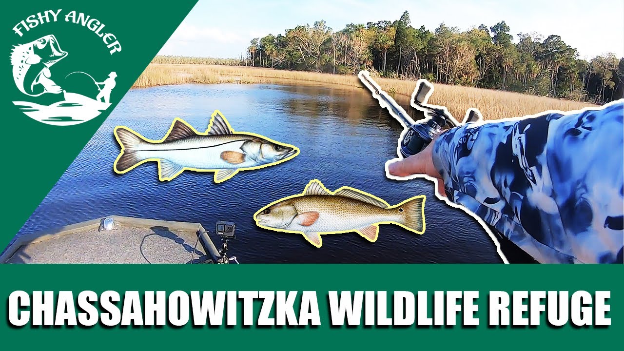 Fishing west coast Florida. Chassahowitzka National Wildlife Refuge