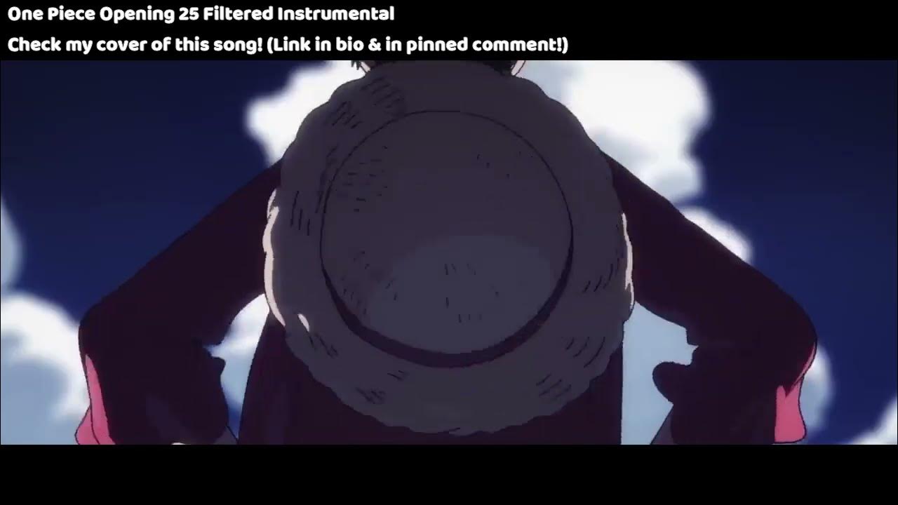 One Piece One Piece Opening 25 GIF