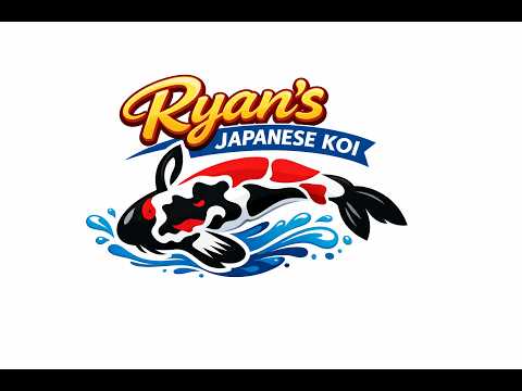 Ryan’s Stunning Japanese Koi Setup 🇯🇵 | Backyard Pond Showcase