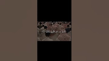 الذين كفروا قطعت لهم ثياب من نار #تلاوة