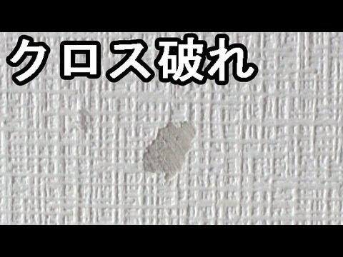 クロス壁紙の破れ補修 （ｸﾛｽの入手から補修まで）