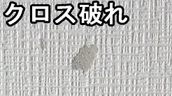 Diy 壁紙 ｸﾛｽ のはがれ めくれ簡単に補修 修復 Youtube