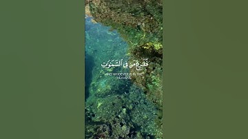 ففزع من فى السموات ومن فى الأرض / من سورة النمل #ايات_قرانيه_قصيره #اكسبلور #اسلاميات #راحة_نفسية