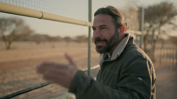 RETURN OF THE CHEETAH