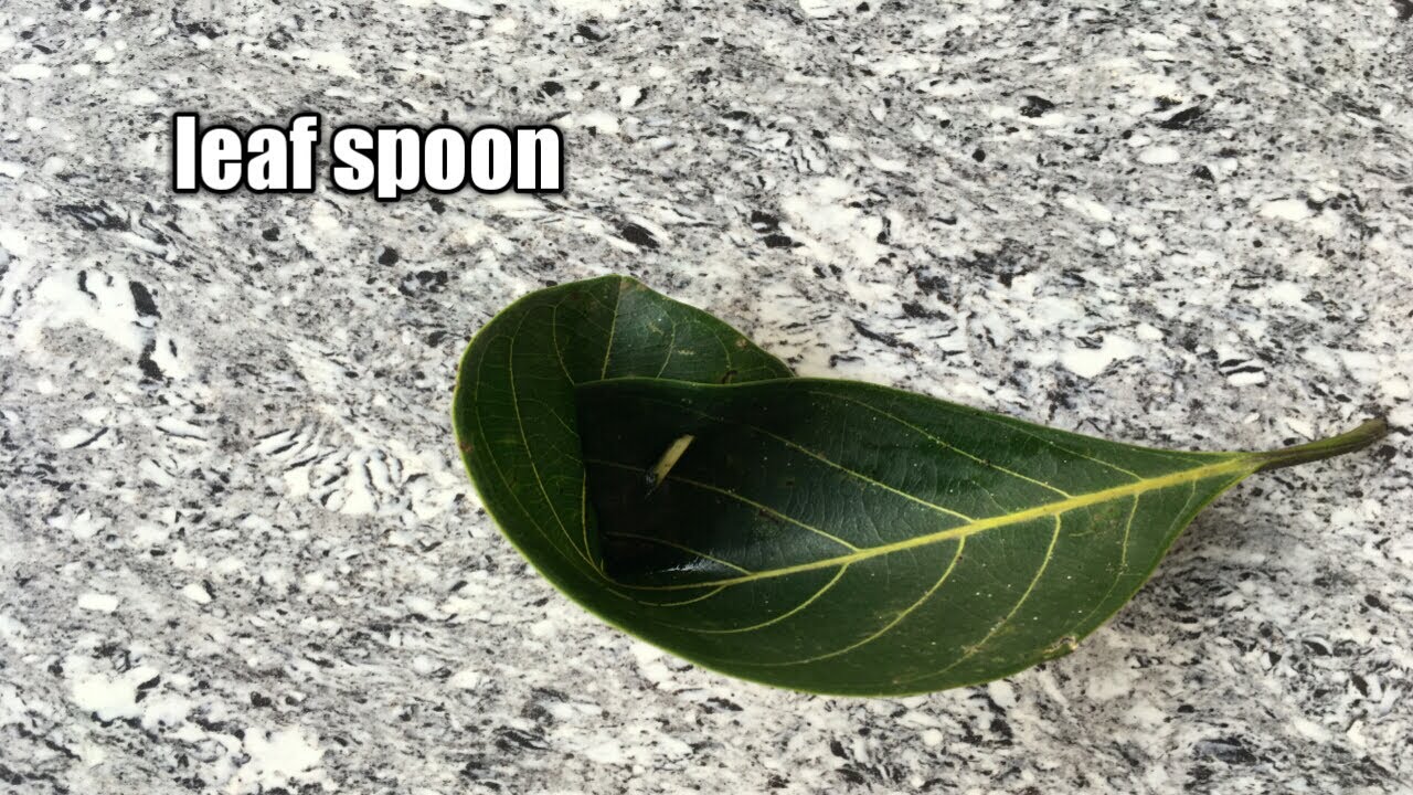 How To Make A Spoon With Leaf | Primitive Technology